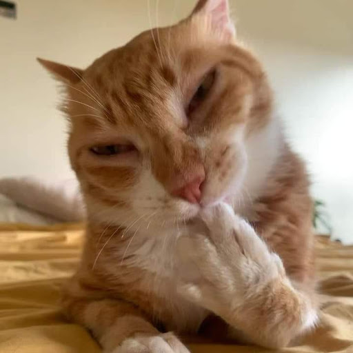 Trần Cẩm Tiên