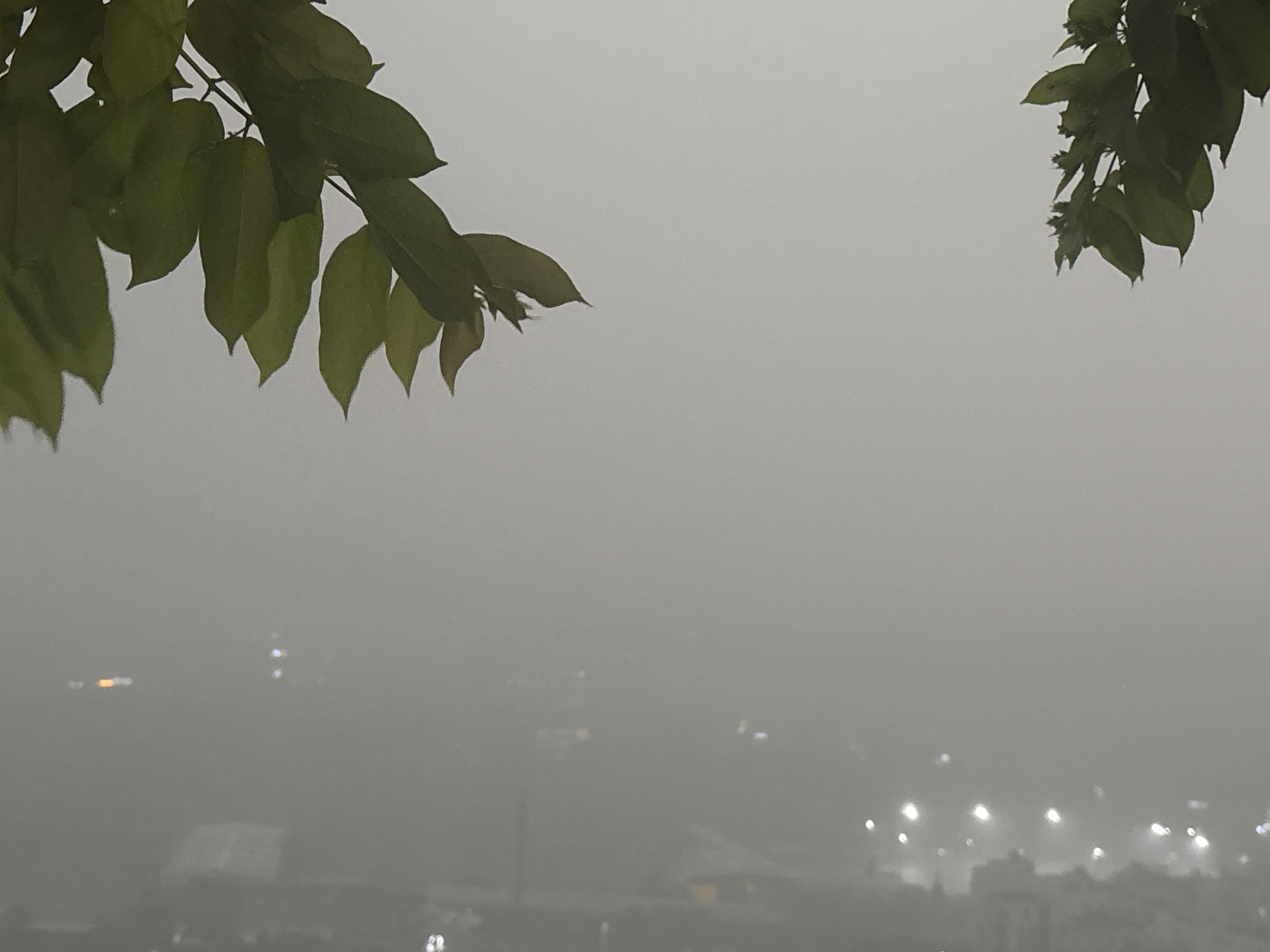 C0805297-F390-421D-A7FF-0B3728CF0EFA.jpg