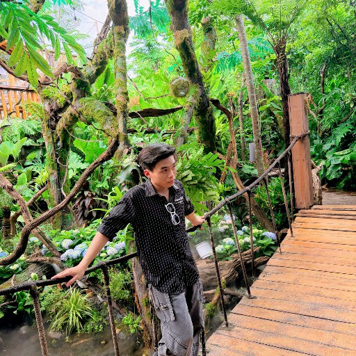 Mai Tấn Lộc