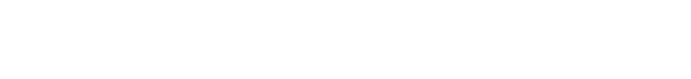 CÔNG TY CỔ PHẦN NAVIGOS GROUP VIỆT NAM logo