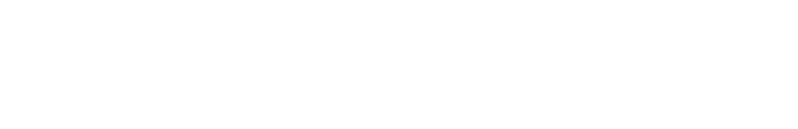 Business Finland logo